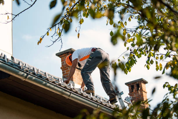 Quick and Trustworthy Emergency Roof Repair Services in La Vista, NE