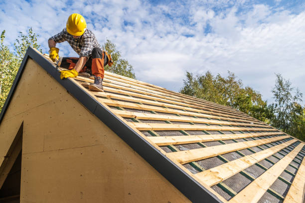 Roof Repair Estimates in La Vista, NE