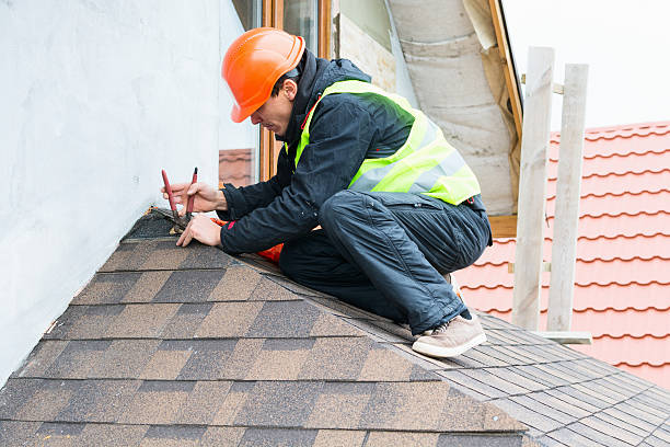 Best Storm Damage Roof Repair  in La Vista, NE