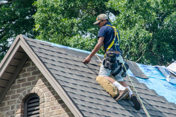 Best Best Roofing Contractors  in La Vista, NE